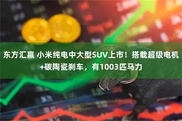东方汇赢 小米纯电中大型SUV上市！搭载超级电机+碳陶瓷刹车，有1003匹马力
